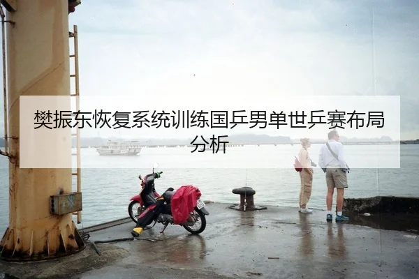 樊振东恢复系统训练国乒男单世乒赛布局分析